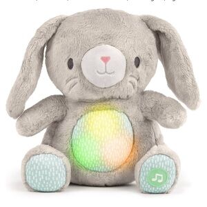 Ingenuity heartbeat Bunny